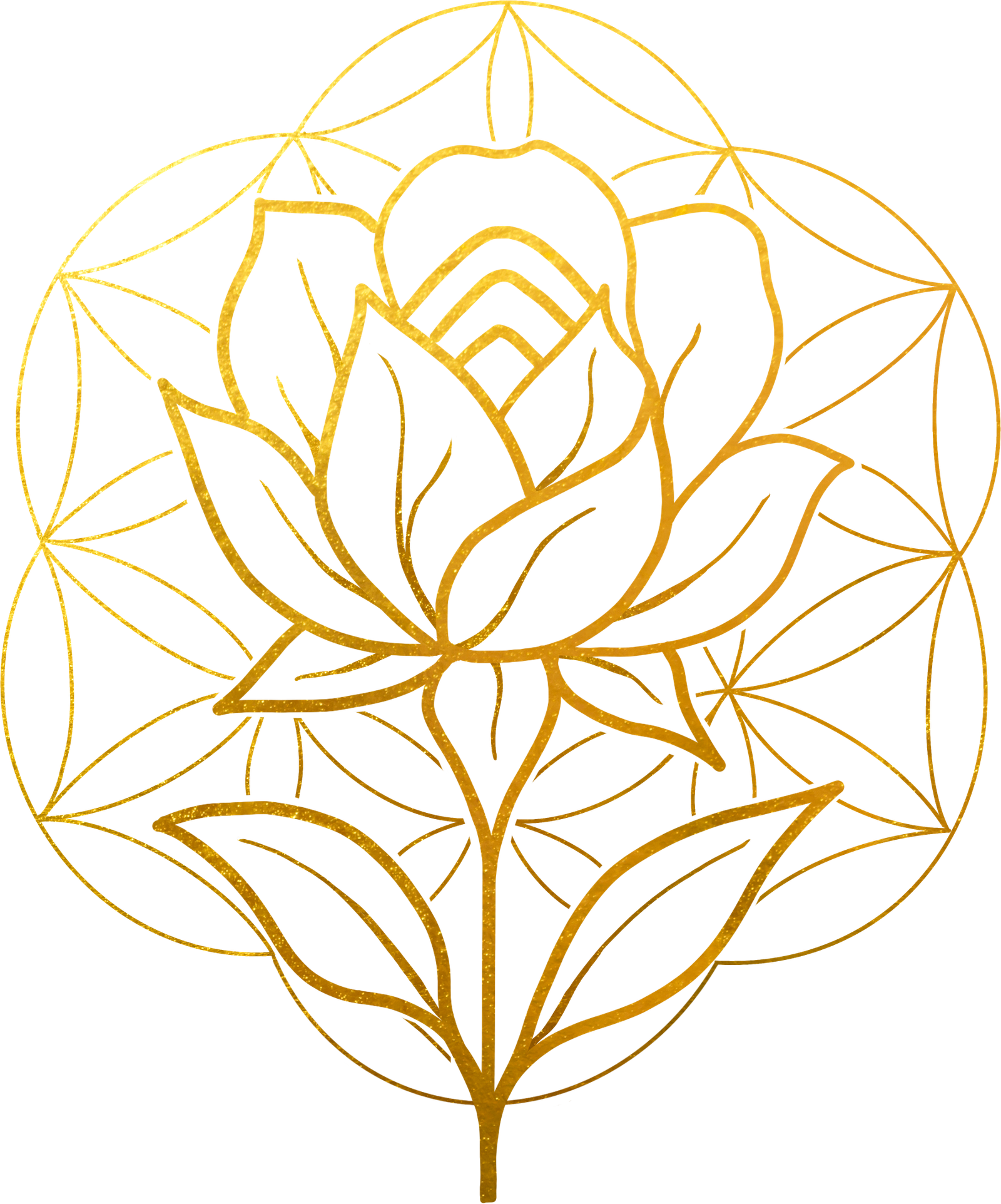 Olga Rose Sohmer, Ph.D.